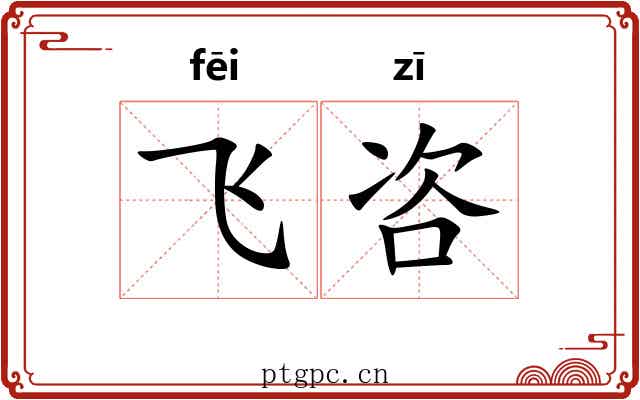 飞咨