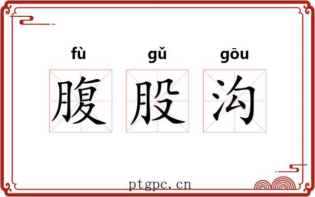腹股沟