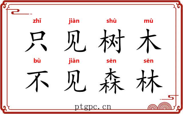 只见树木，不见森林