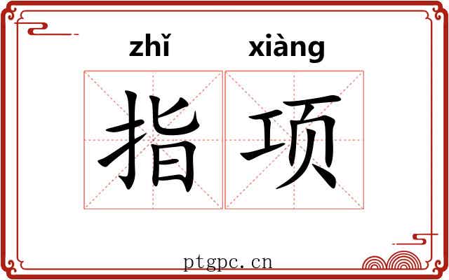 指项 指项
