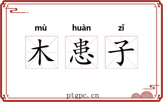 木患子 木患子