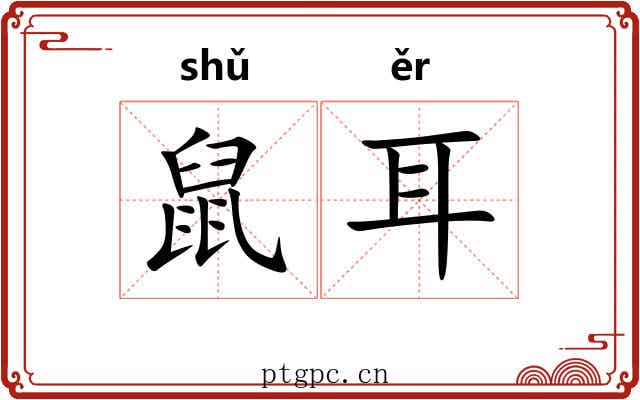 鼠耳 鼠耳