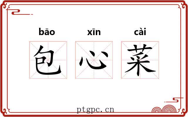 包心菜