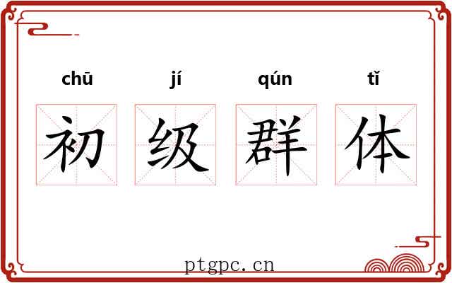 初级群体 初级群体