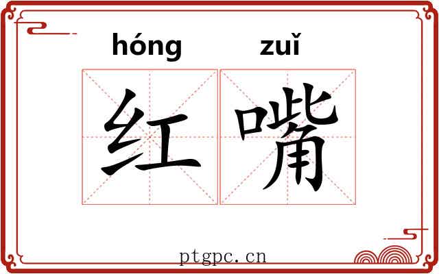 红嘴 红嘴