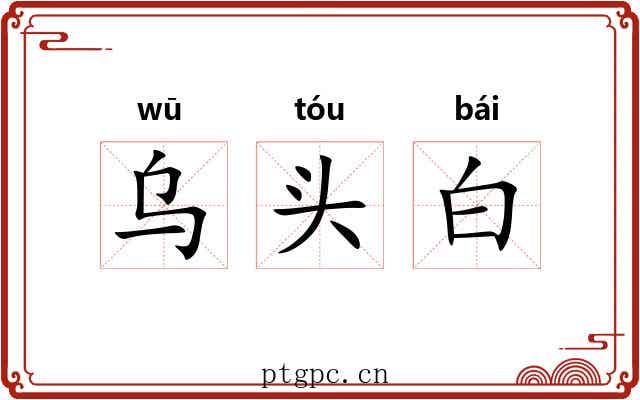 乌头白