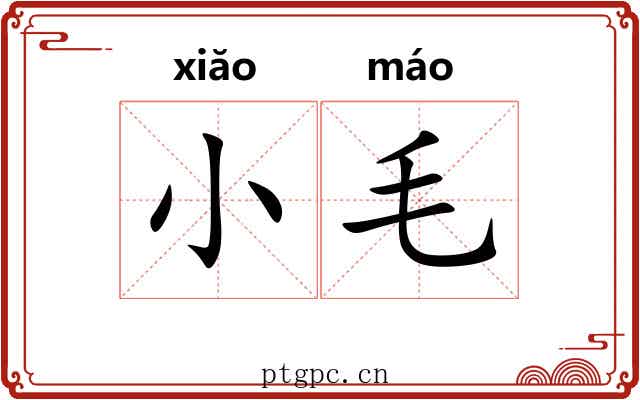 小毛 小毛