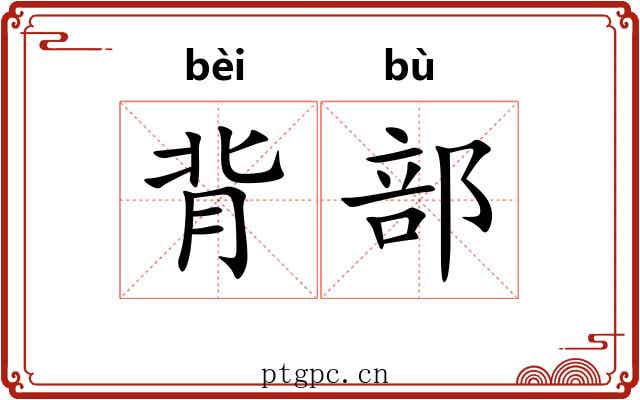 背部 背部
