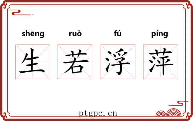 生若浮萍 生若浮萍