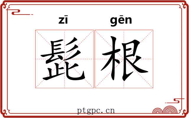 髭根