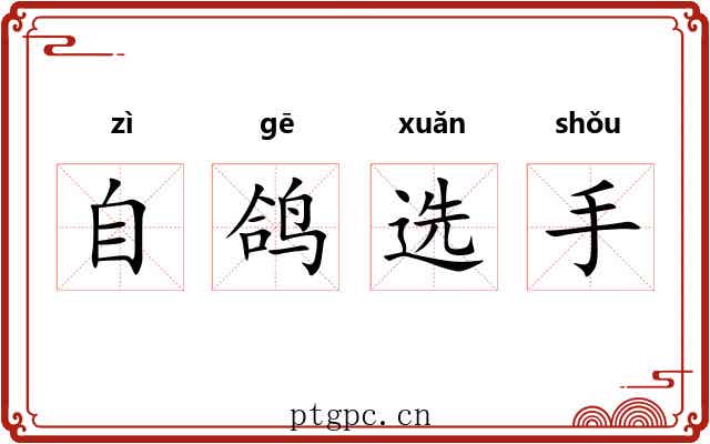 自鸽选手 自鸽选手
