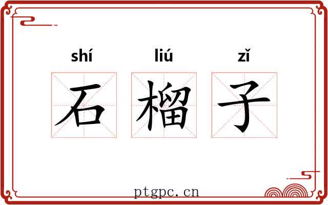 石榴子 石榴子