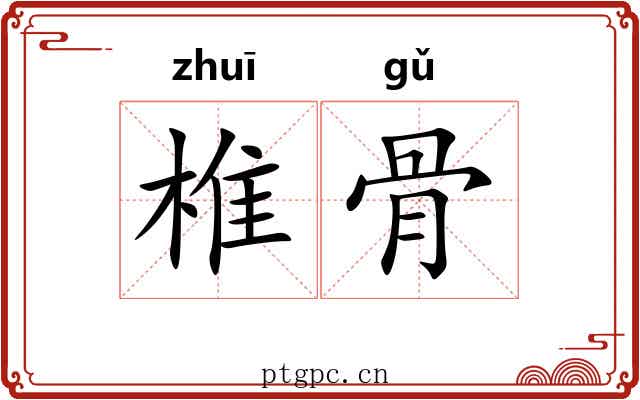 椎骨