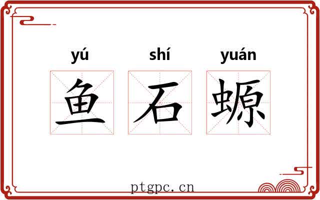 鱼石螈 鱼石螈