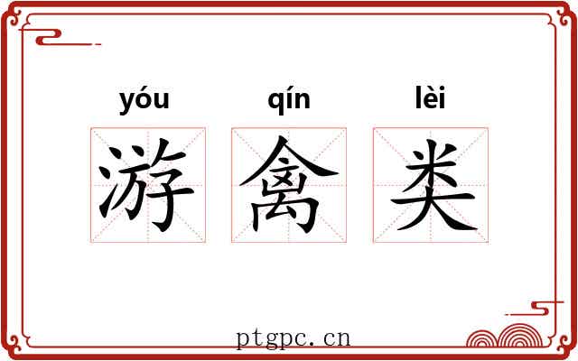 游禽类