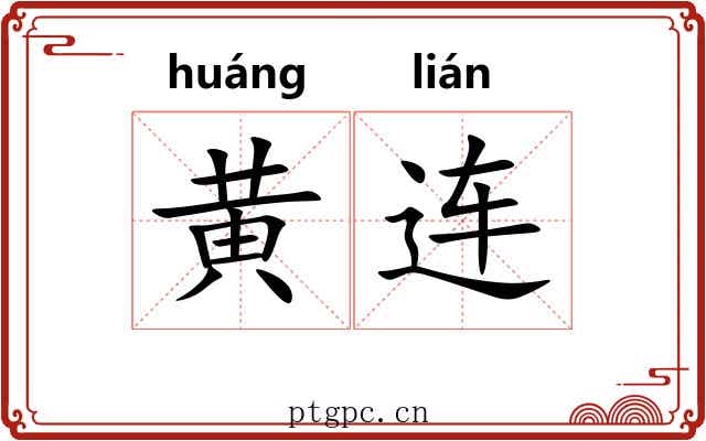 黄连
