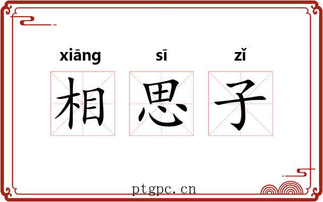 相思子 相思子