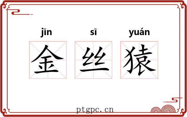 金丝猿