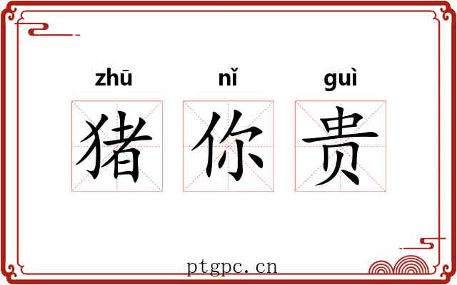 猪你贵