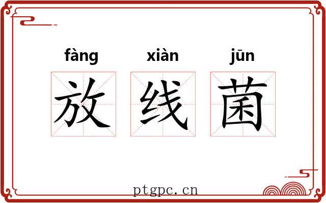 放线菌 放线菌