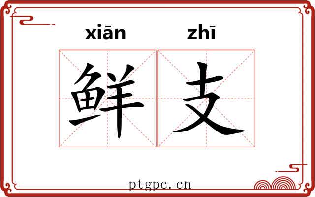 鲜支