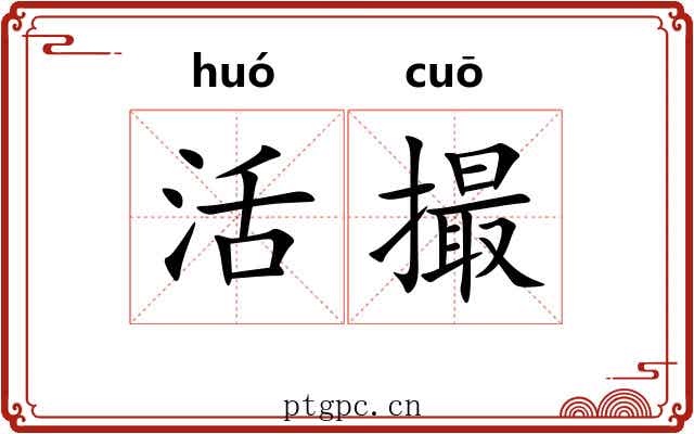 活撮