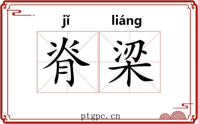 脊梁