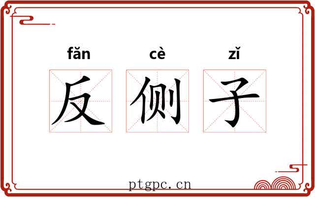 反侧子 反侧子