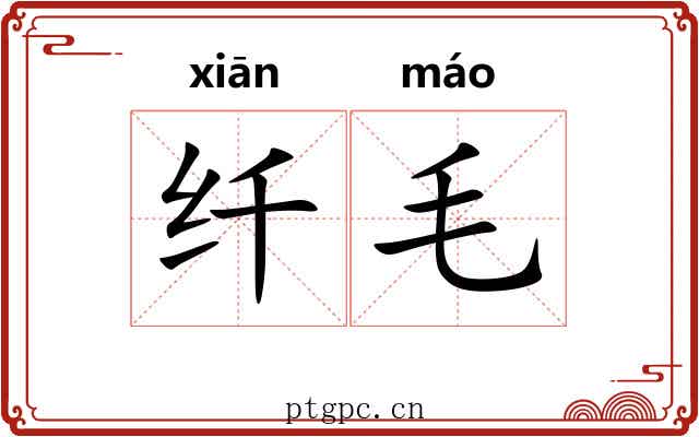 纤毛