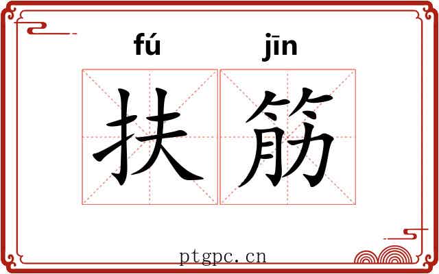 扶筋