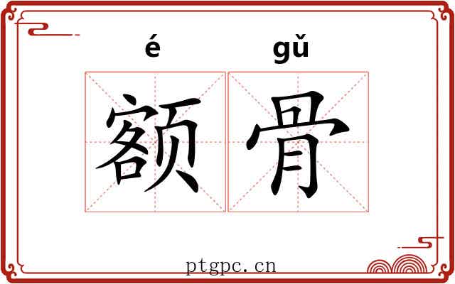 额骨