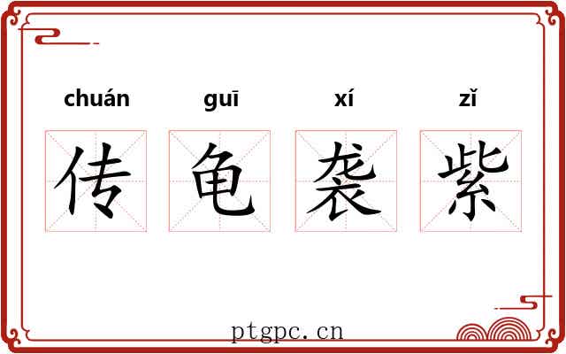 传龟袭紫 传龟袭紫