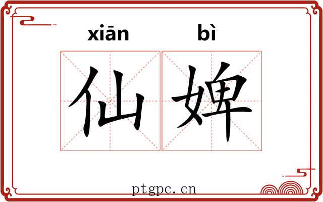 仙婢