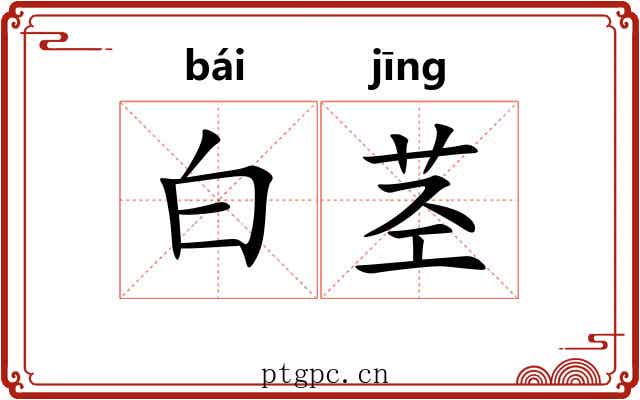 白茎