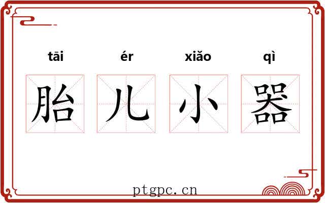 胎儿小器