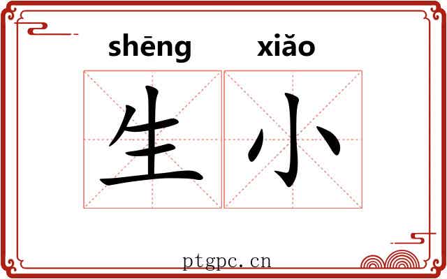 生小 生小