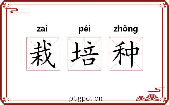 栽培种 栽培种