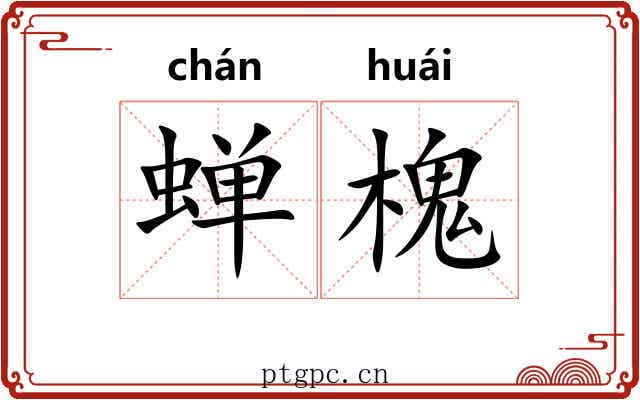 蝉槐