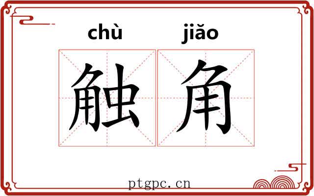 触角 触角