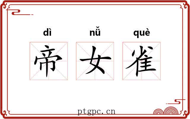 帝女雀