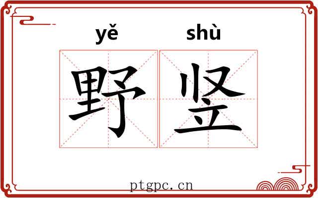 野竖
