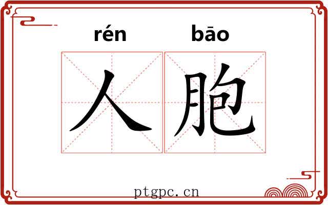 人胞