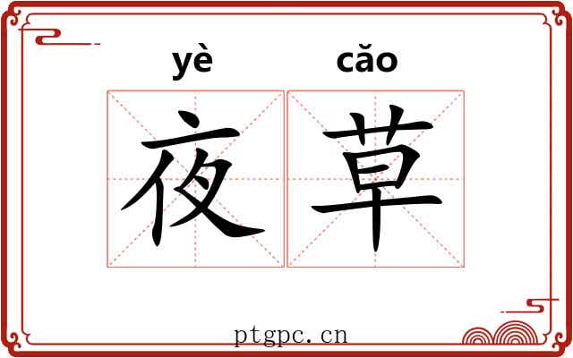 夜草