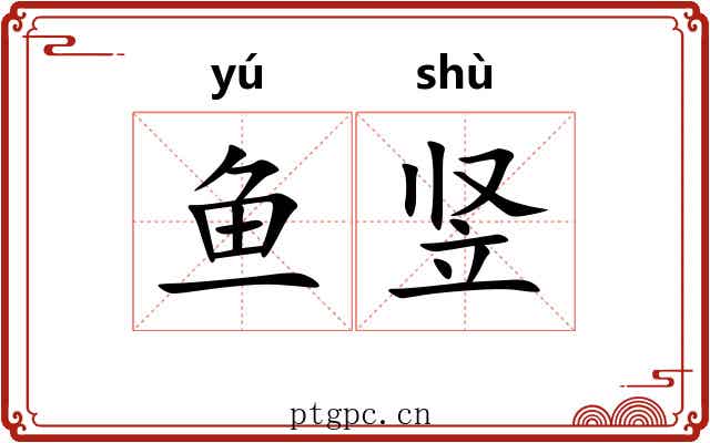 鱼竖