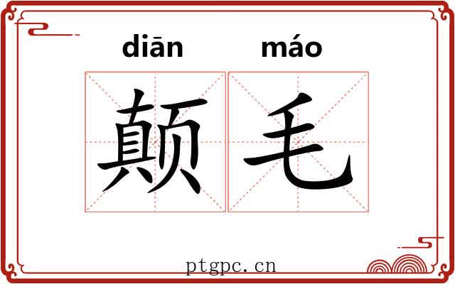 颠毛