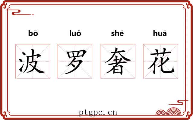 波罗奢花