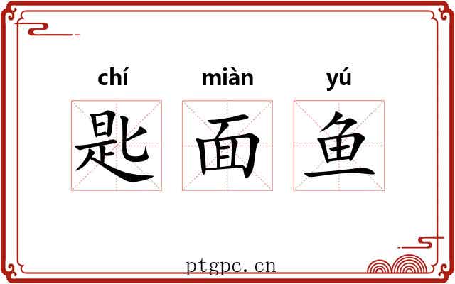 匙面鱼