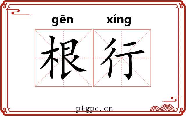 根行 根行