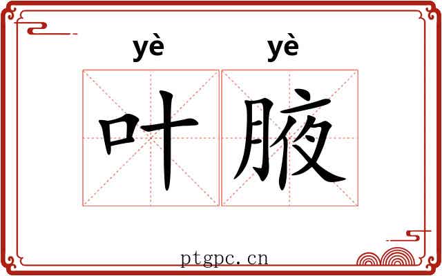 叶腋