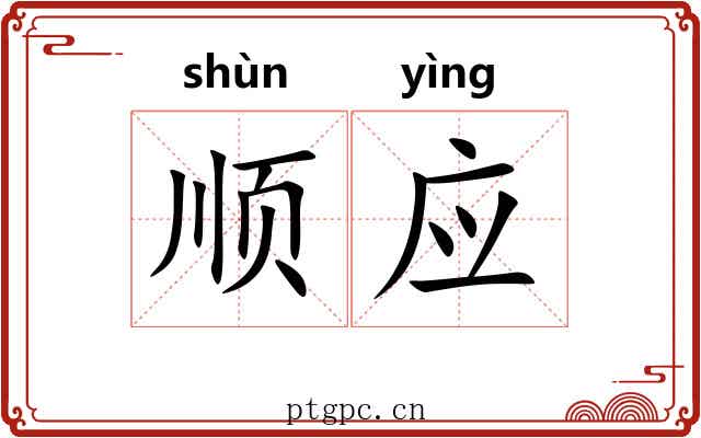 顺应 顺应